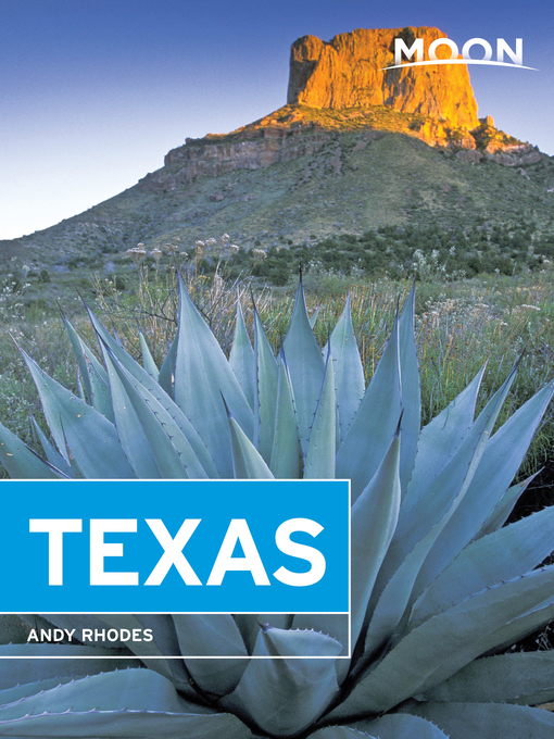 Title details for Moon Texas by Andy Rhodes - Available
